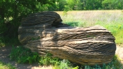 PICTURES/Mushroom State Park - Marquette, KS/t_Boat.JPG